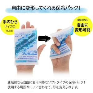 クールインパック ソフト 100g CS-10...の詳細画像2