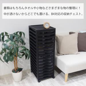 レターケース B4 浅型15段 限定カラーアプ...の詳細画像2