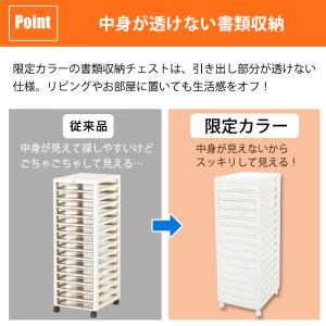 レターケース B4 浅型15段 限定カラーアプ...の詳細画像3