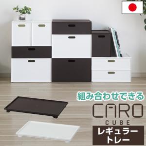 ポリエチレンケース レギュラー プラスチック収納 小物収納 PCケース