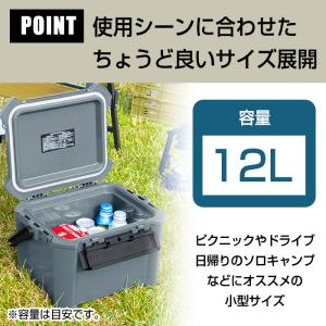 クーラーボックス 小型 12L COREFLU...の詳細画像3