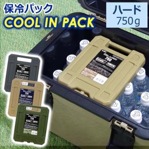 保冷剤 保冷パック クールインパック ハード 750g アウトドア キャンプ アースカラー レジャー おしゃれ オシャレ 冷凍 長持ち 繰り返し