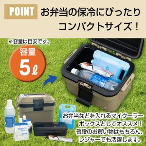 収納ボックス クーラーボックス 小型 5L 弁...の詳細画像3