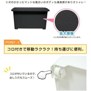 収納ボックス 収納ケース 衣類収納 押入れ収納...の詳細画像3