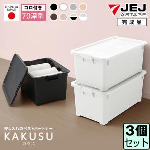 IRIS OHYAMA（アイリスオーヤマ） 衣装ケース プラスチック ロック N