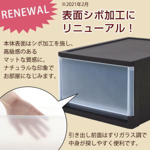 収納ボックス 収納チェスト チェスト b4 引...の詳細画像2