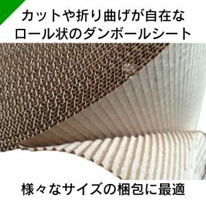 巻きダンボール 幅1200mm×50m巻 1本...の詳細画像2