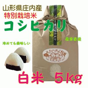 令和7年山形県庄内産雪若丸 玄米10kg 特別栽培米 農家直送 特A一等