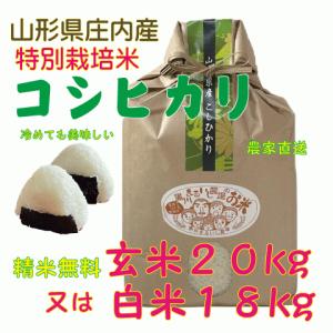 令和6年産 新米予約 10月中旬 玄米30kg 蛇紋岩米 国家戦略特区 兵庫県