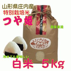 つや姫 令和6年産 島根 米 5kg 島根県産 5kg 島根米穀 お米 : 鳥取