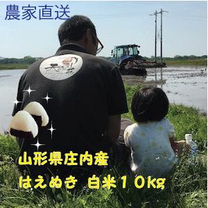 山形県庄内産　はえぬき　精米（白米）10kg　【送料無料（九州・沖縄・離島を除く)】　安い手頃な価格...