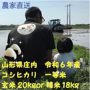 令和５年山形県庄内産　米　コシヒカリ　特別栽培米　20kg 【送料無料（九州・沖縄を除く)】　玄米2...