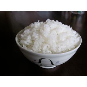 【送料無料(四国・九州・沖縄・離島を除く】令和...の詳細画像2
