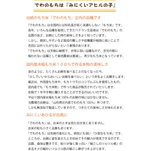丸餅 500g 賞味期限長い 山形県庄内産もち...の詳細画像2