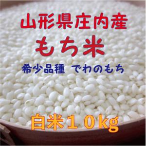 こがねもち 【新米予約】餅米 10kg 令和8年 もち米 10キロ 5kg×2 送料