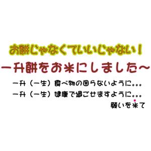 一升米 山形県産コシヒカリ ナップサック 名入...の詳細画像1
