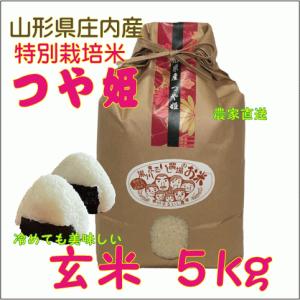 山形県庄内産つや姫 白米5kg 令和7年度特別栽培米 農家直送 特A 精米