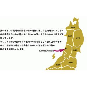 山形県庄内産つや姫 玄米10kg 令和7年度特...の詳細画像1