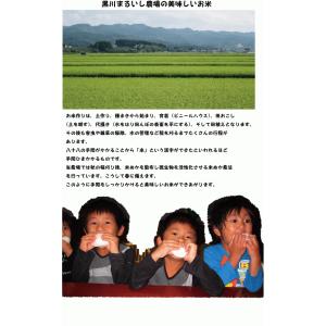 山形県庄内産つや姫 玄米10kg 令和7年度特...の詳細画像2