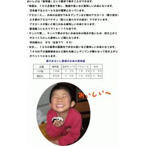 山形県庄内産つや姫 玄米10kg 令和7年度特...の詳細画像3