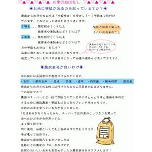 山形県庄内産つや姫 玄米10kg 令和7年度特...の詳細画像4