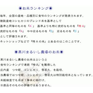 山形県庄内産つや姫 玄米10kg 令和7年度特...の詳細画像5