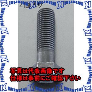 【P】【代引不可】【個人宅配送不可】ESCO(エスコ) M20x110mm [ISO-10.9]六角...