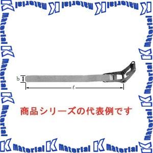 イワブチ SFT-C209 ステンレスバンド セ...の商品画像