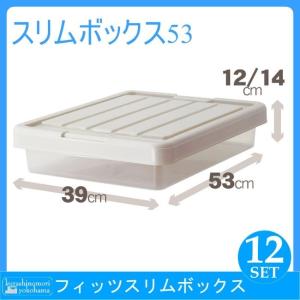 Ｆｉｔｓ フィッツケース スリムボックス53 12個組 収納ケース 衣装ケース 収納ボックス 衣類収納 収納家具 プラチェスト 天馬｜k-mori