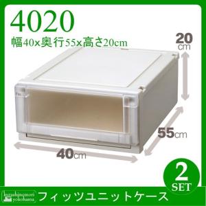 収納ケース 天馬 Fits フィッツユニットケース 4020 2個組  衣装ケース 収納ボックス TENMA 4904746438584-002
