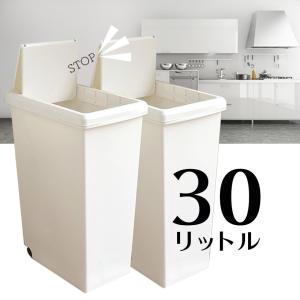 ゴミ箱 平和工業 【2個組】 スライドペール30L 白 日本製 ホワイト 分別 キッチン おしゃれ ごみ箱 キャスター付 送料無料｜k-mori