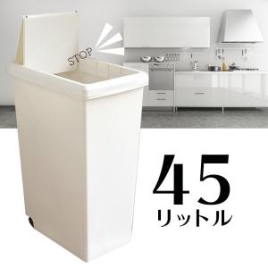 ゴミ箱 平和工業 スライドペール45L 白 日本製 ホワイト 分別 キッチン おしゃれ ごみ箱 キャスター付