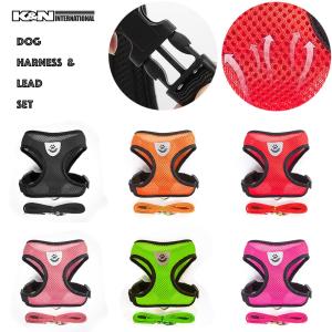 犬 ペット 小型犬 リード ハーネス セット シンプル 簡単装着 ワンタッチ