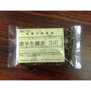 令和8年産「紫早生裸麦」(もち麦) 2dl(約1...の商品画像