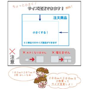 アクリル板 透明/乳半/白 3mm厚 257m...の詳細画像3