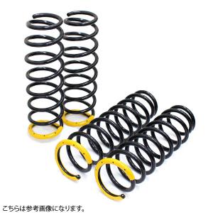 RACING GEAR（レーシングギア） ◇RG 1.5インチ リフトアップ