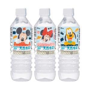 【2ケース】ブルボン　ディズニー天然水　500ｍｌ×24本×2箱　合計48本