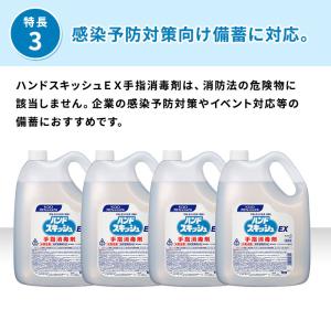 花王 ハンドスキッシュEX 業務用 4.5L×...の詳細画像3