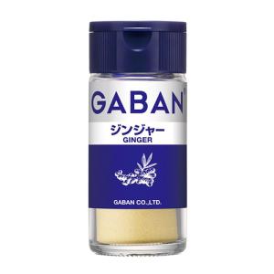 ハウス食品　GABAN　ギャバン　ジンジャー　１８ｇ　5×6個　合計30個　