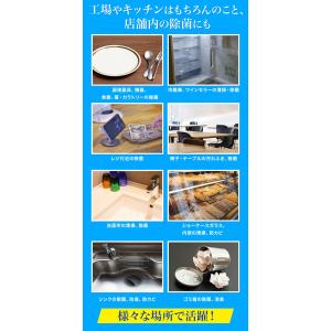 三菱商事LS アルコール製剤【食品添加物】メイ...の詳細画像2