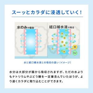 AJINOMOTO -味の素- アクアソリタ ...の詳細画像4
