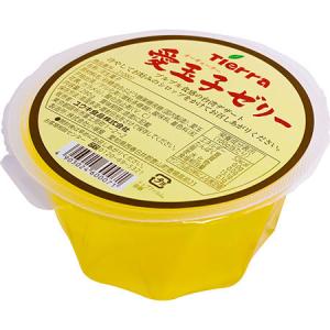 YOUKI 愛玉子ゼリー 290g×24個