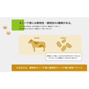大塚製薬 SOYJOY(ソイジョイ)ストロベリ...の詳細画像4