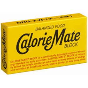 カロリーメイト 大塚製薬 カロリーメイト ブロック チョコ味 2本入り
