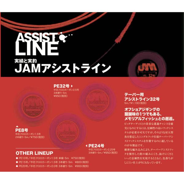 シーフロアコントロール　ASSIST LINE　JAMアシストライン　PE15　Fluoro1.５号...