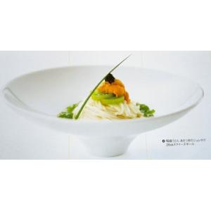 洋食器 平型 リム スープ皿 中皿 24cm 白い食器 日本製 美濃焼