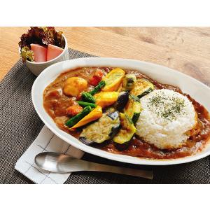 カレー皿 楕円 Mサイズ 26.8cm 100...の詳細画像1