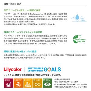 壁紙 リリカラ LB 2024-2026 のり...の詳細画像2