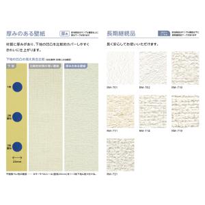 壁紙 ルノン RMシリーズ RM730~RM7...の詳細画像5