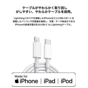 apple TypeC Lightningケー...の詳細画像1